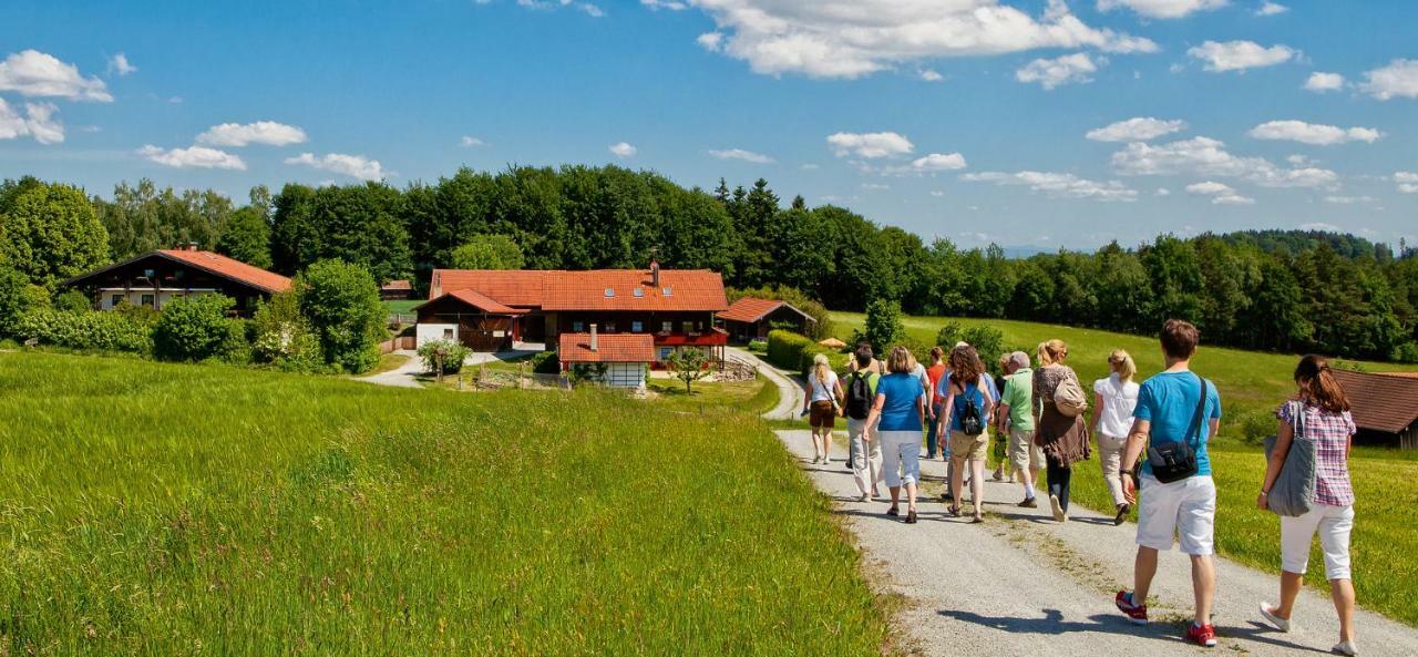 Hotel Sonnenhof Бад-Бирнбах Экстерьер фото